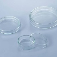 이소랩 샤레 CUISO081.01 ISOLAB petri dishes